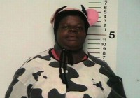 /album/coisa-estranha/foto-estranha-12-jpg/